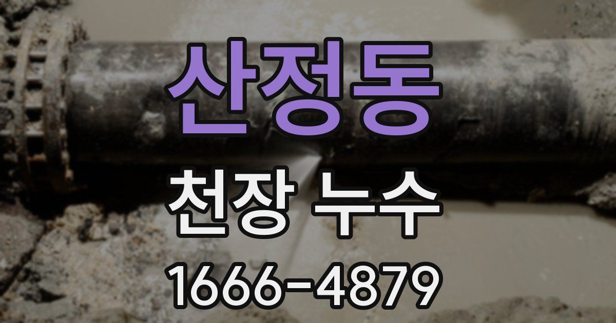 산정동 천장 누수