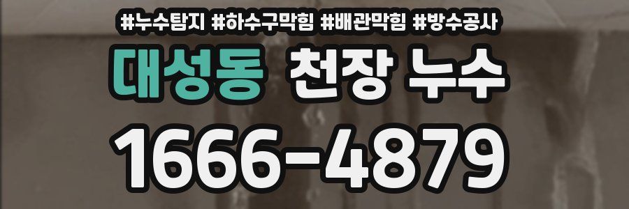 대성동 천장 누수