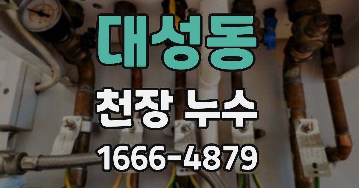 대성동 천장 누수