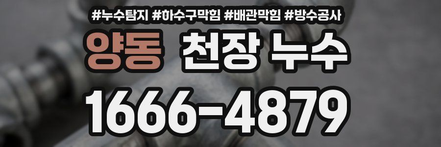양동 천장 누수