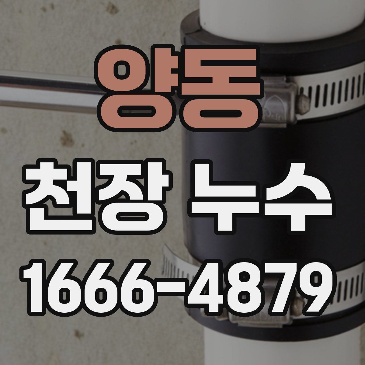 양동 천장 누수