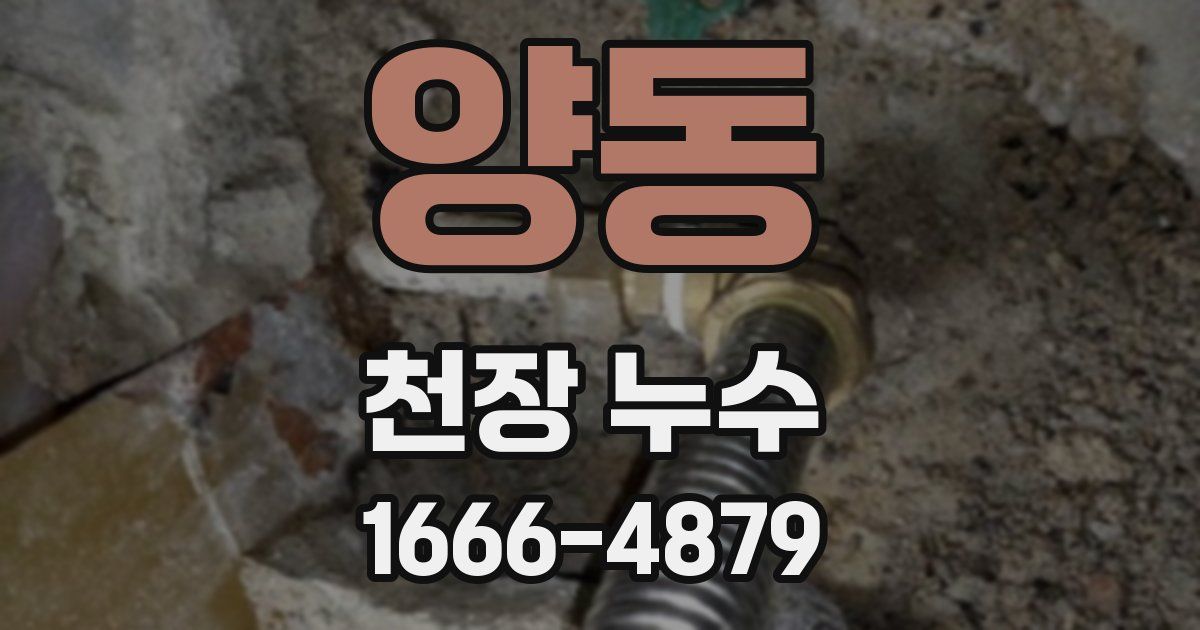양동 천장 누수