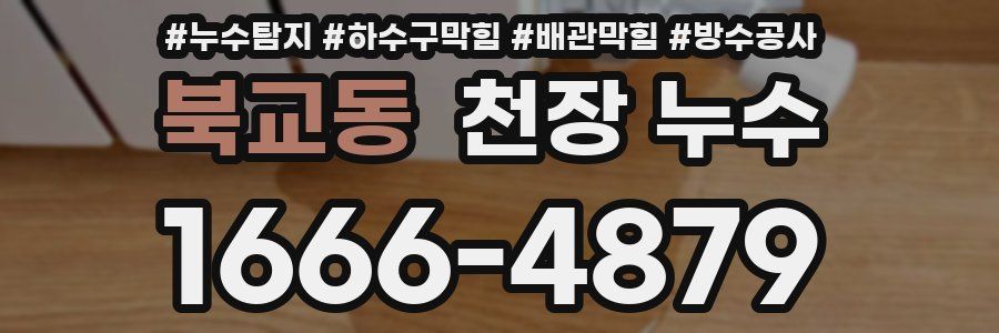 북교동 천장 누수