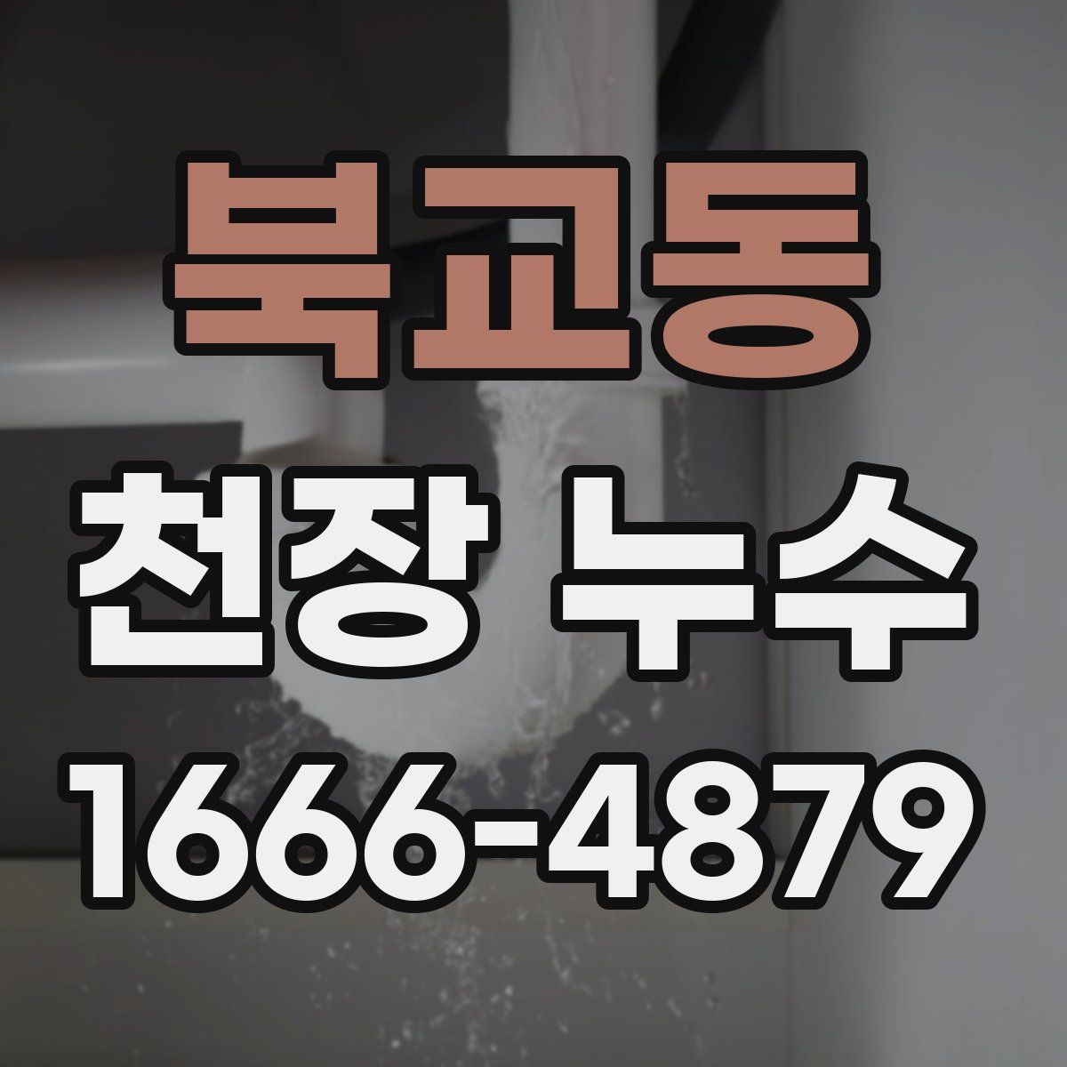 북교동 천장 누수