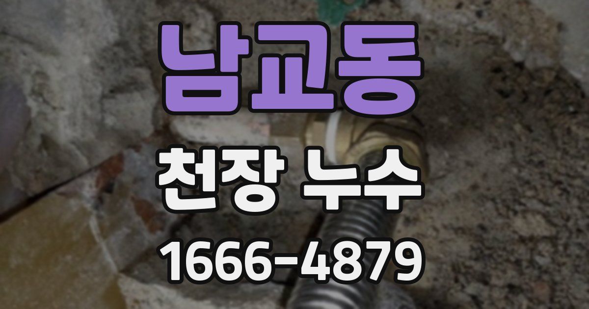 남교동 천장 누수