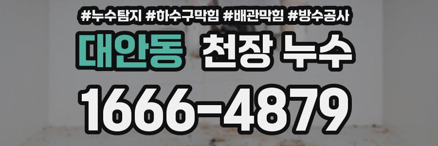 대안동 천장 누수