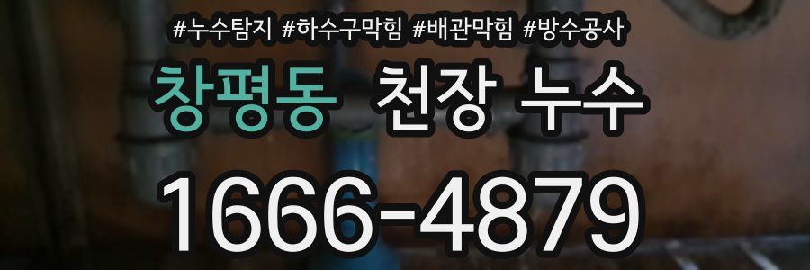 창평동 천장 누수