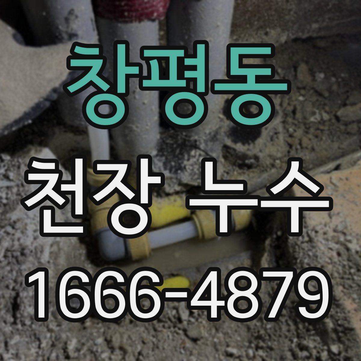 창평동 천장 누수