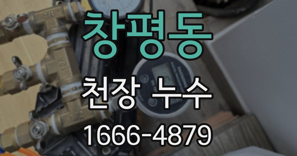 창평동 천장 누수