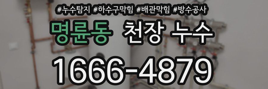 명륜동 천장 누수