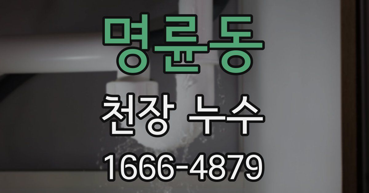 명륜동 천장 누수