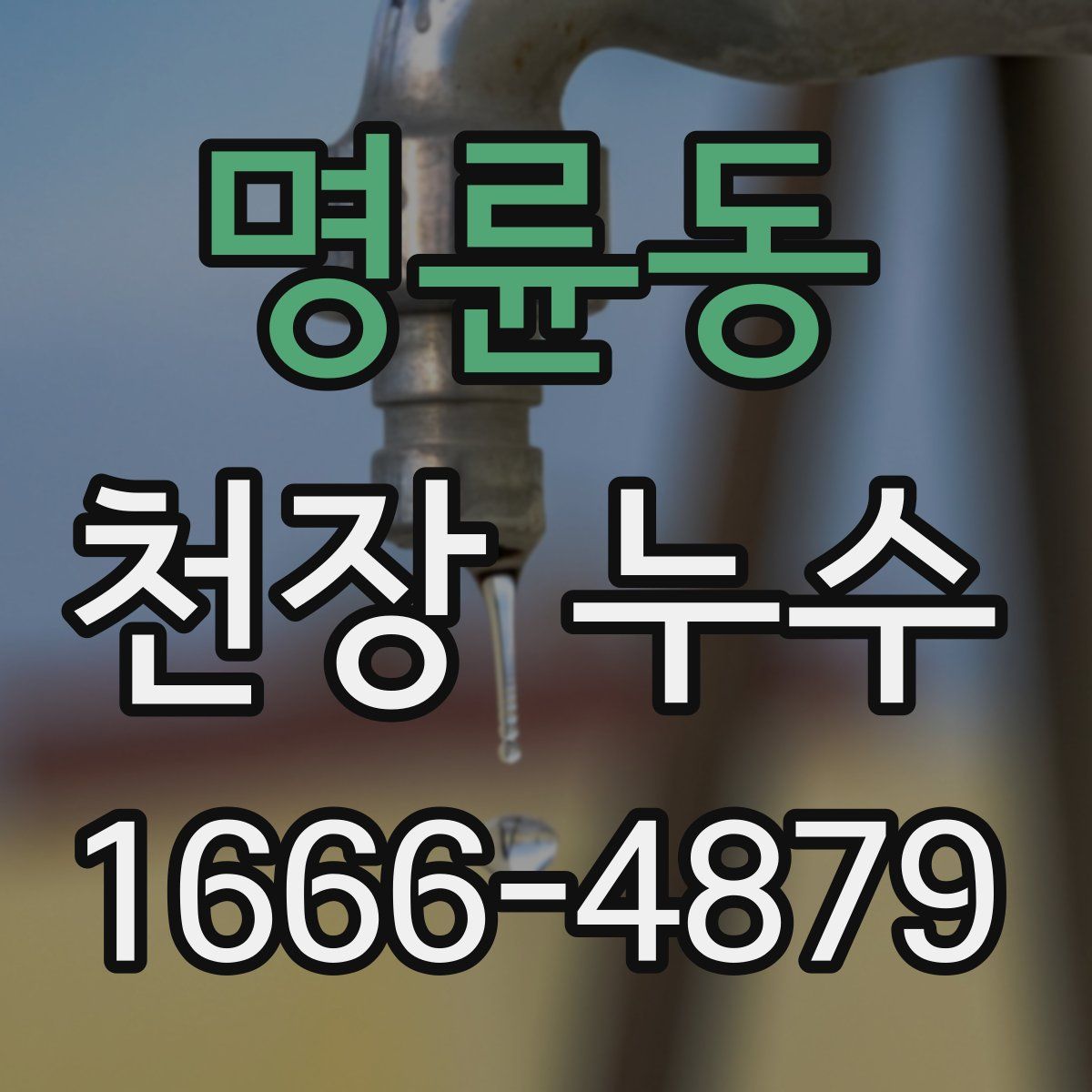 명륜동 천장 누수