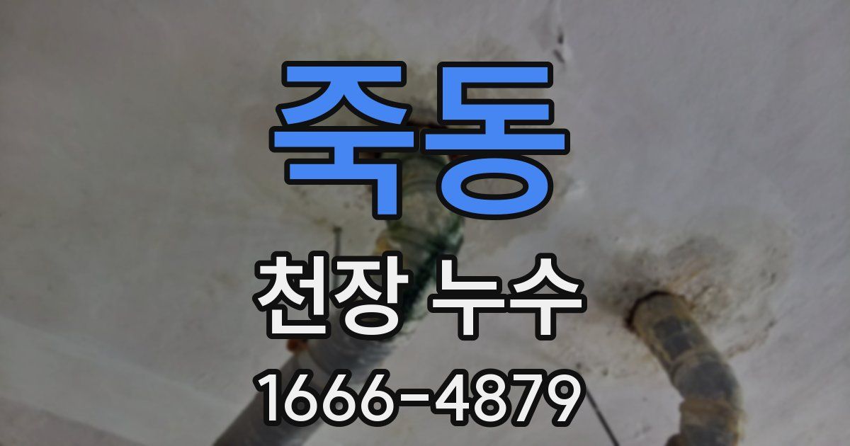 죽동 천장 누수