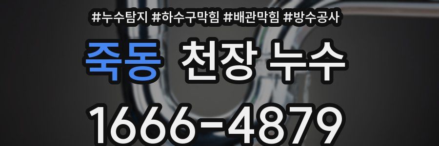죽동 천장 누수