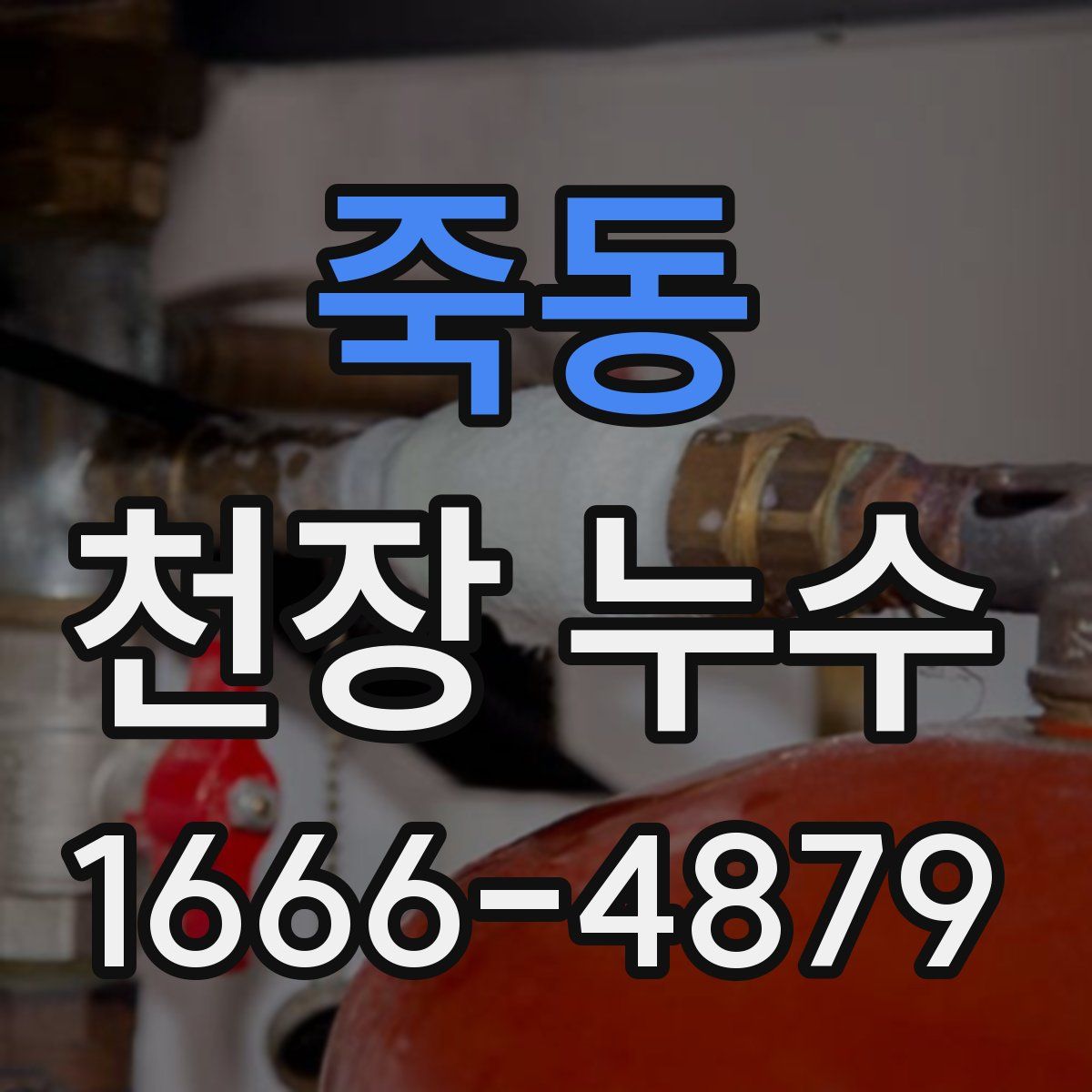 죽동 천장 누수