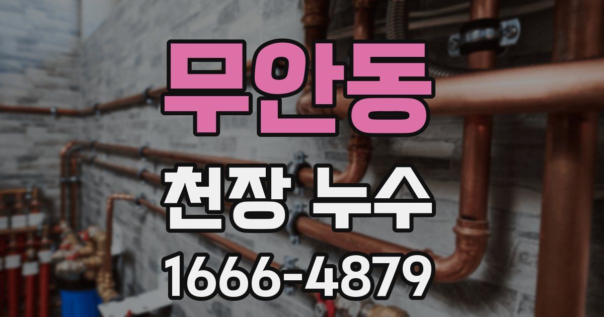 무안동 천장 누수