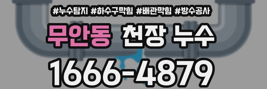 무안동 천장 누수