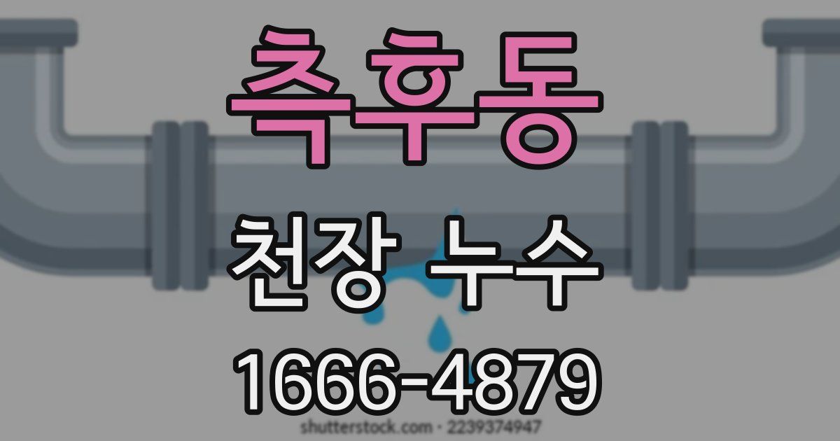 측후동 천장 누수