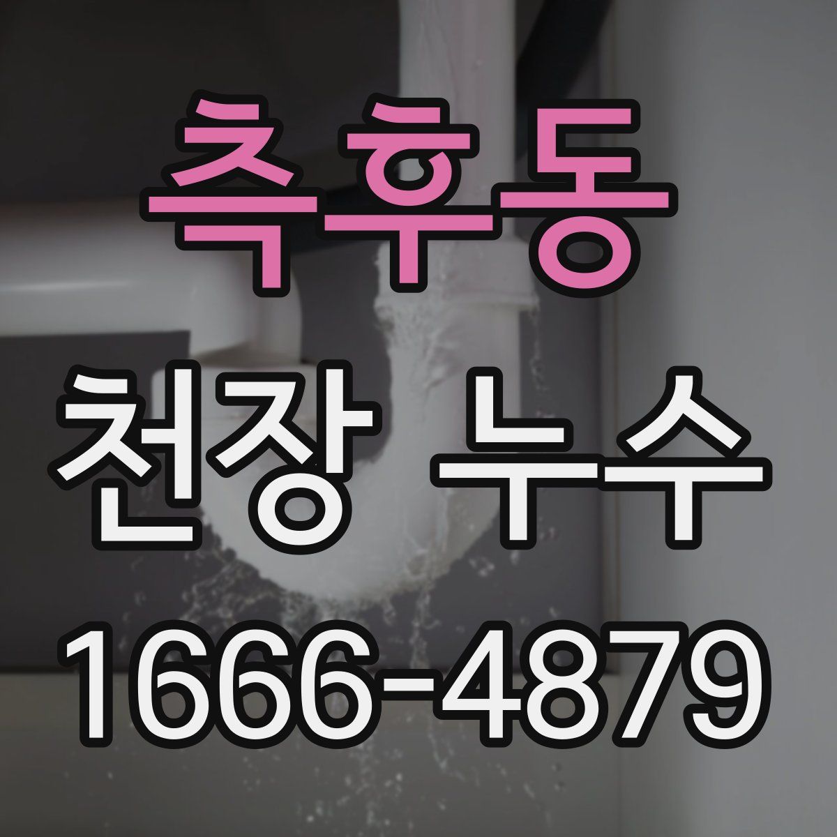 측후동 천장 누수