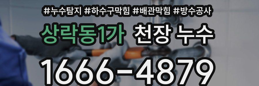 상락동1가 천장 누수