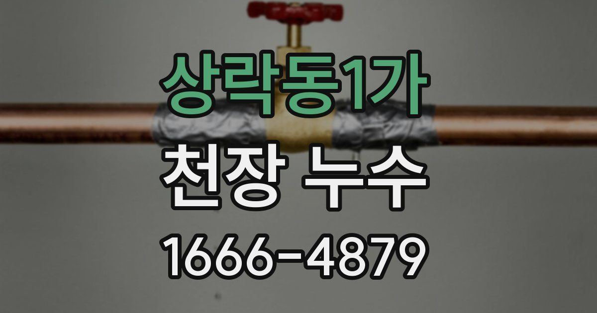 상락동1가 천장 누수