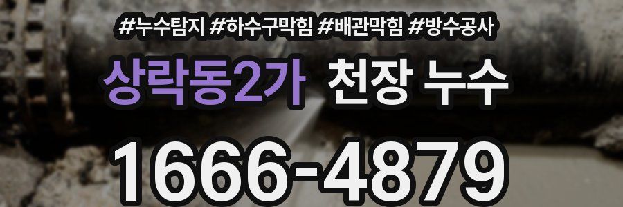 상락동2가 천장 누수