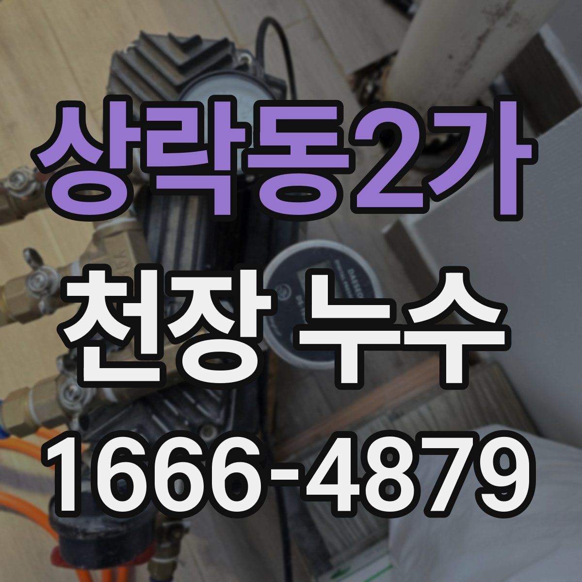 상락동2가 천장 누수