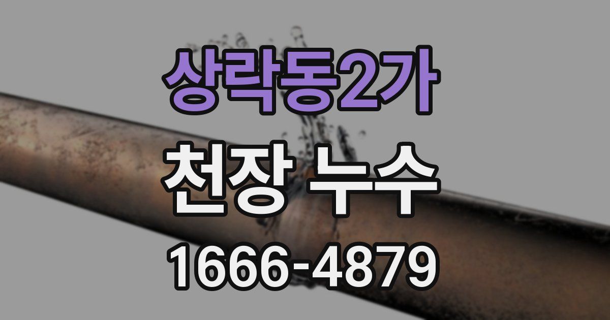 상락동2가 천장 누수