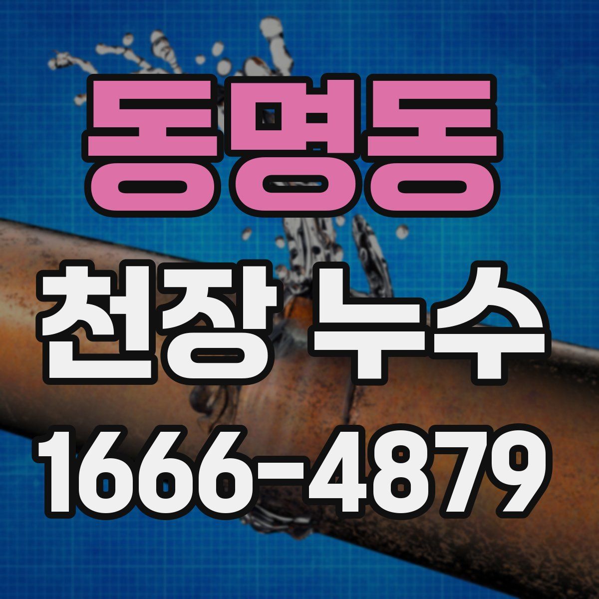 동명동 천장 누수