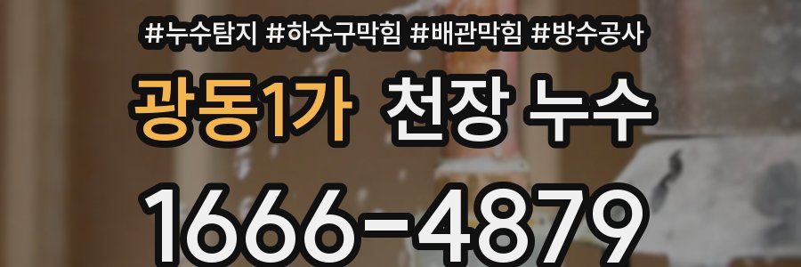광동1가 천장 누수