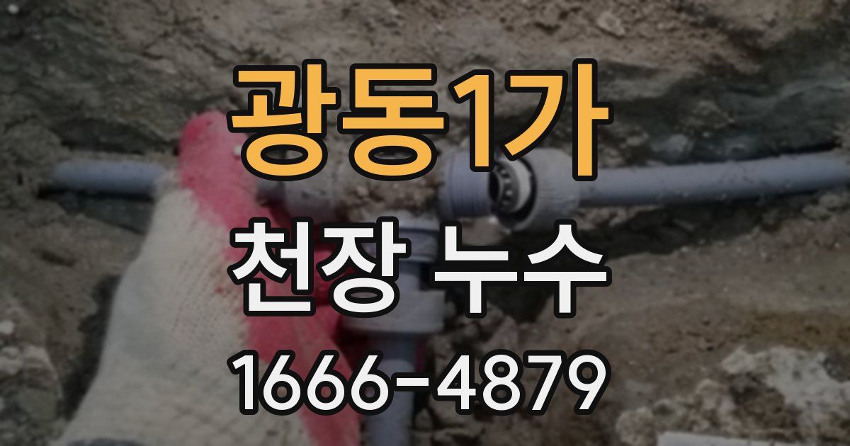광동1가 천장 누수