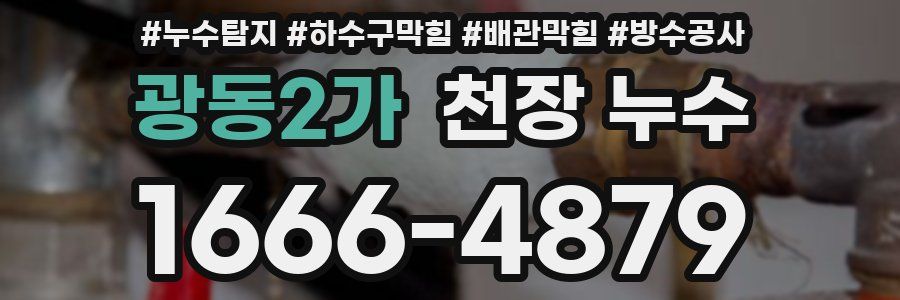 광동2가 천장 누수