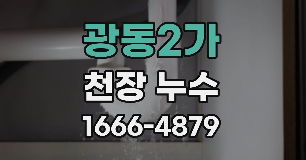 광동2가 천장 누수