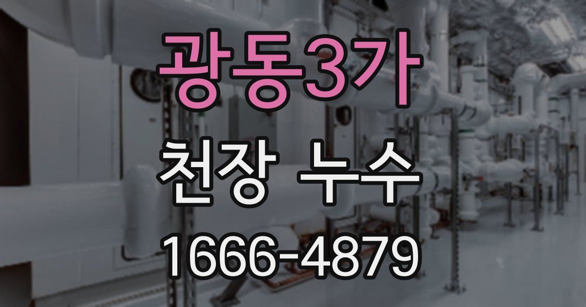 광동3가 천장 누수