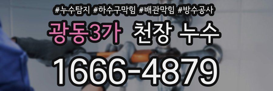 광동3가 천장 누수