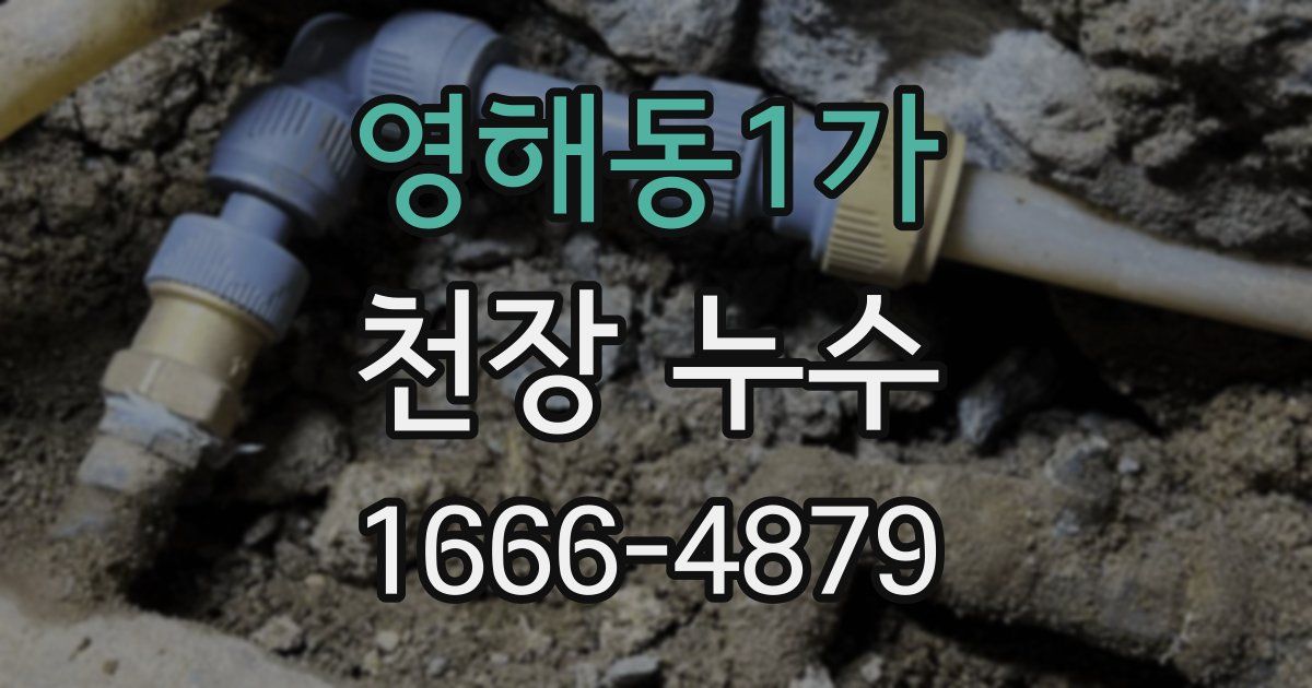 영해동1가 천장 누수