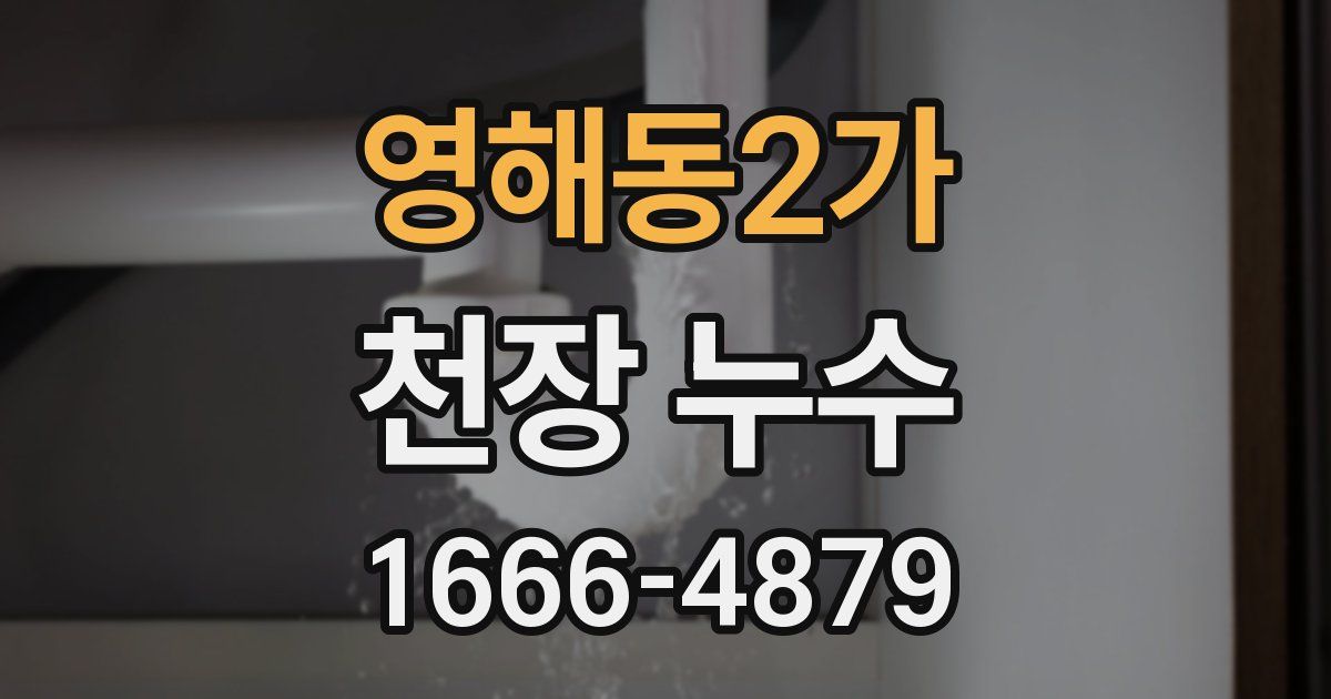 영해동2가 천장 누수