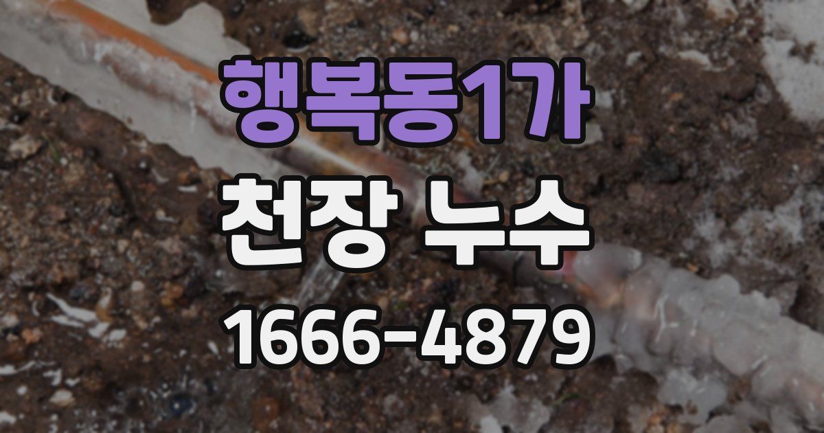 행복동1가 천장 누수