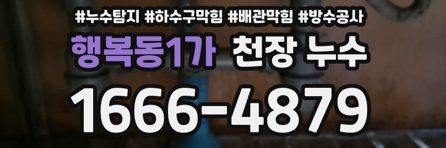행복동1가 천장 누수