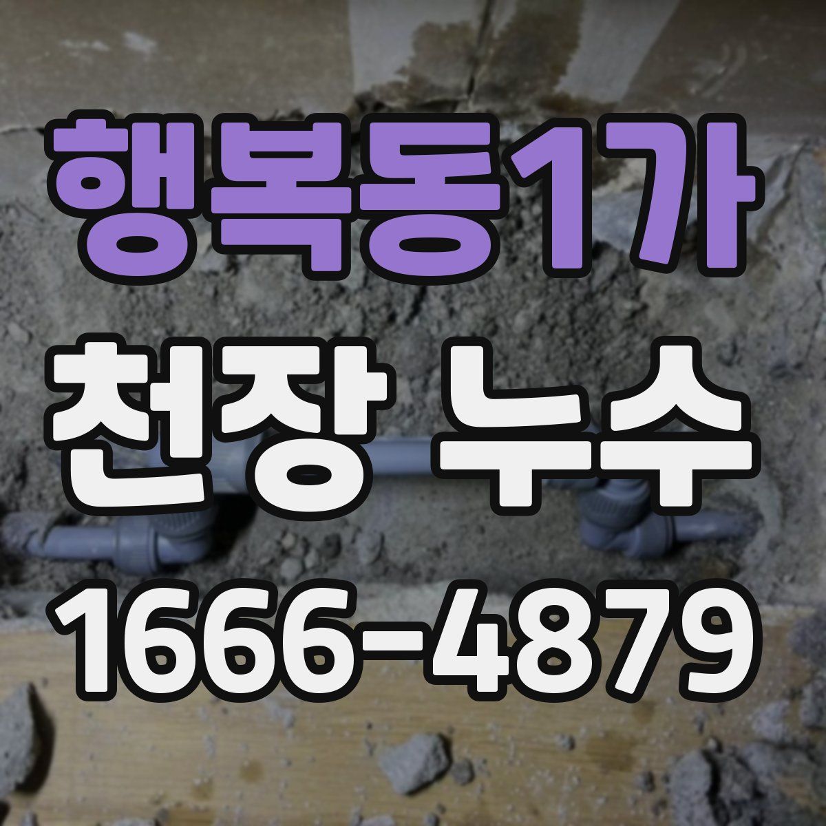 행복동1가 천장 누수