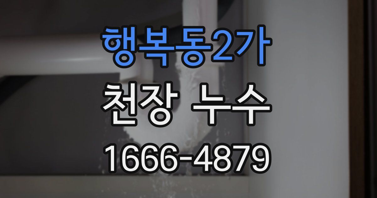 행복동2가 천장 누수