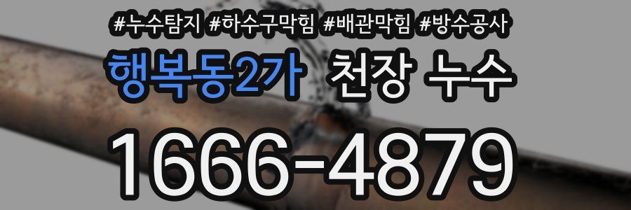 행복동2가 천장 누수