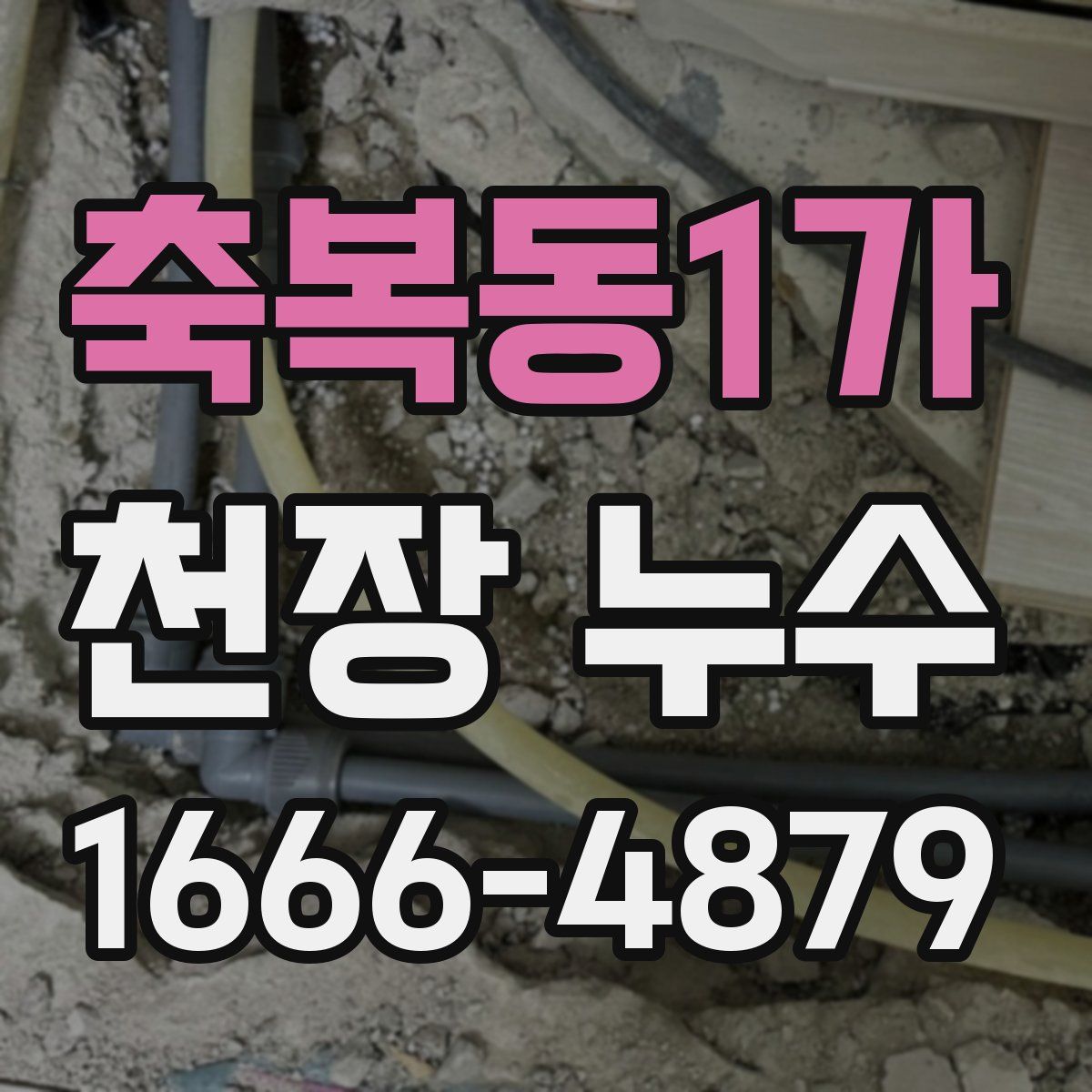축복동1가 천장 누수