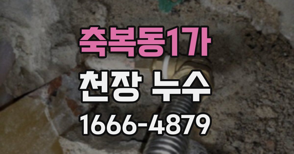축복동1가 천장 누수