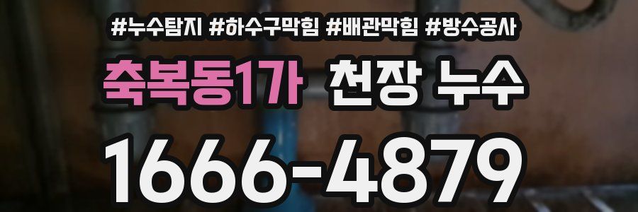 축복동1가 천장 누수