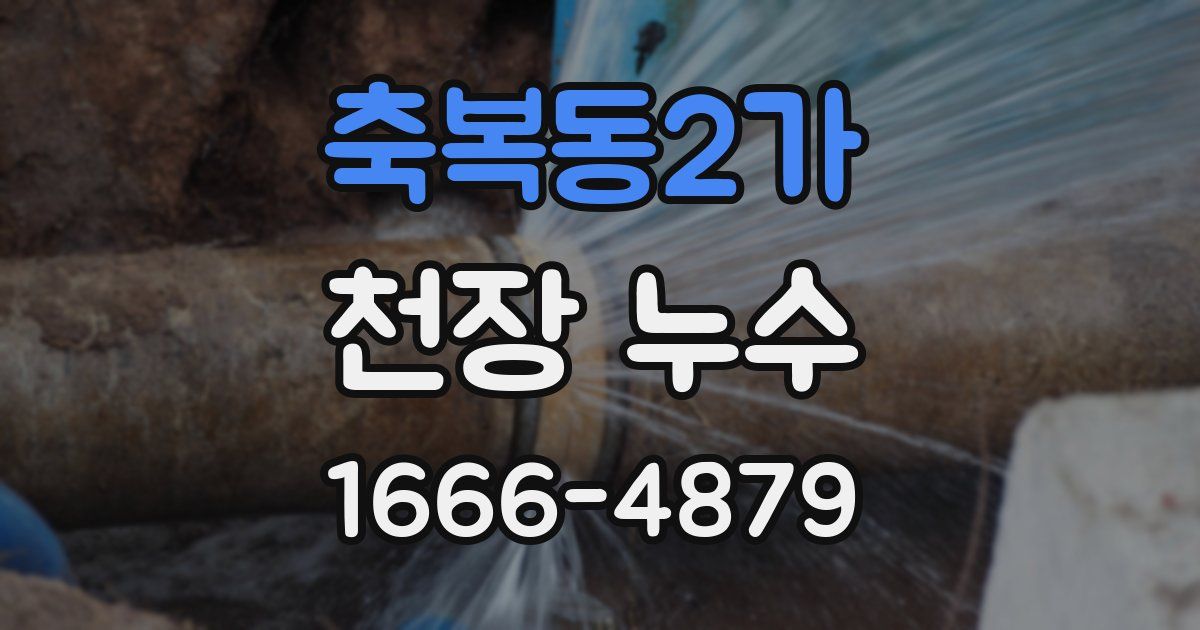 축복동2가 천장 누수