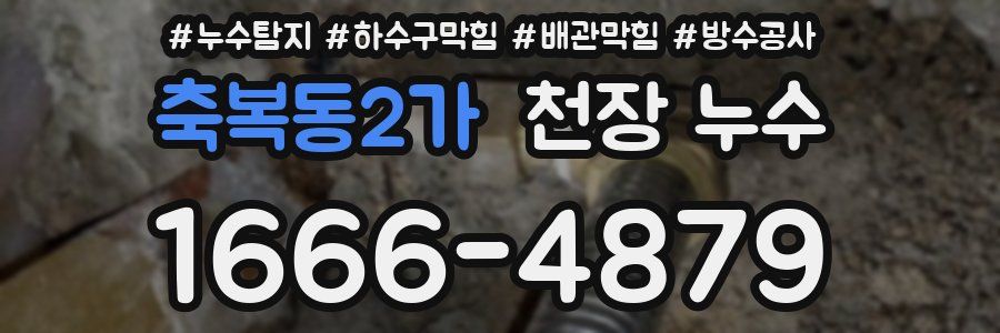 축복동2가 천장 누수