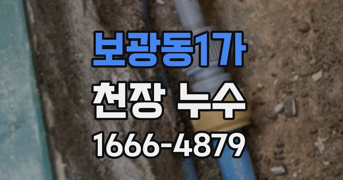 보광동1가 천장 누수