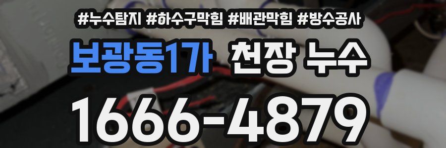 보광동1가 천장 누수