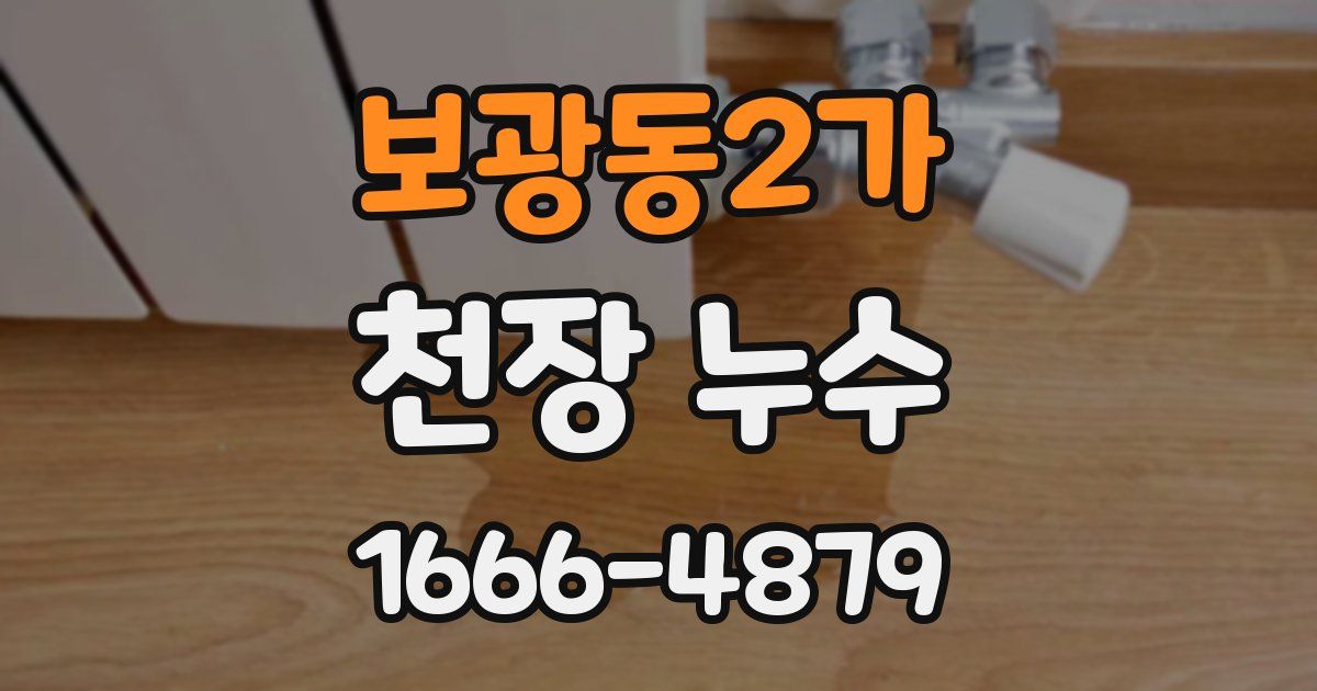 보광동2가 천장 누수